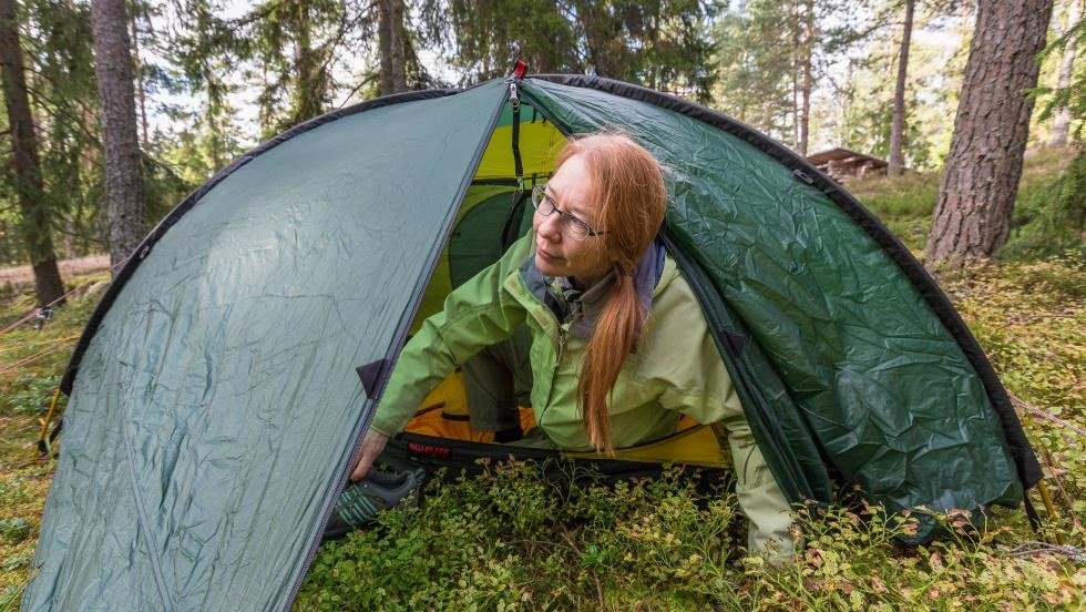 Petikon luontovirkistysalue