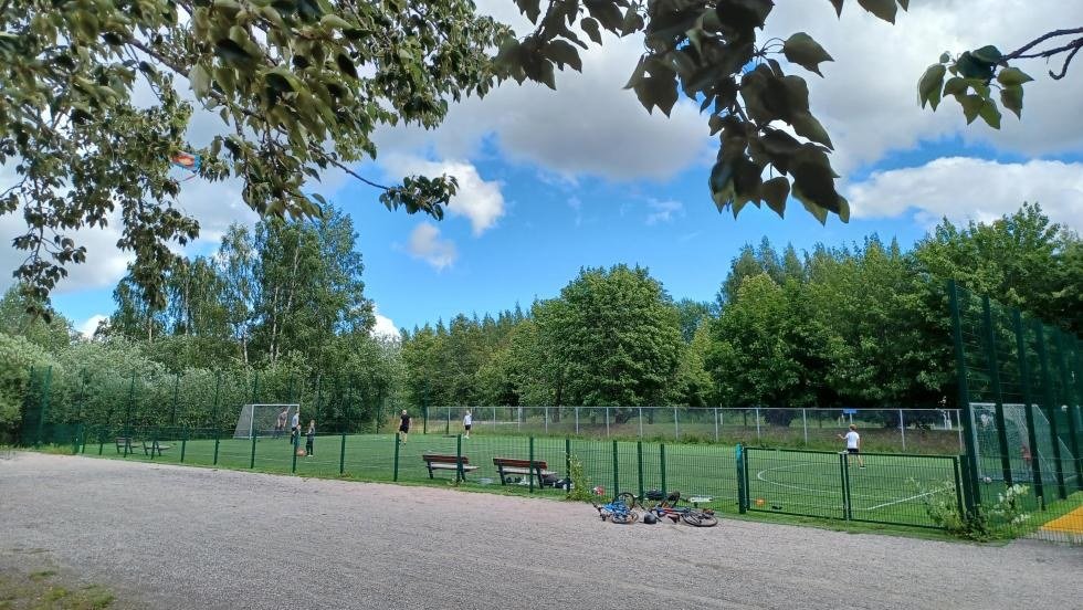 Variston pieni tekonurmi (40x20)