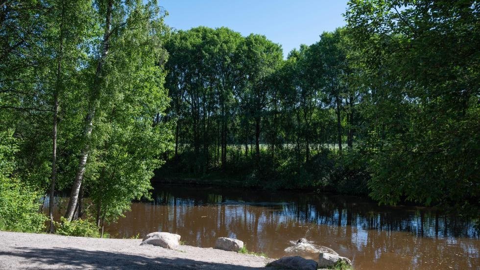 Vetokannaksen uimapaikka koirille