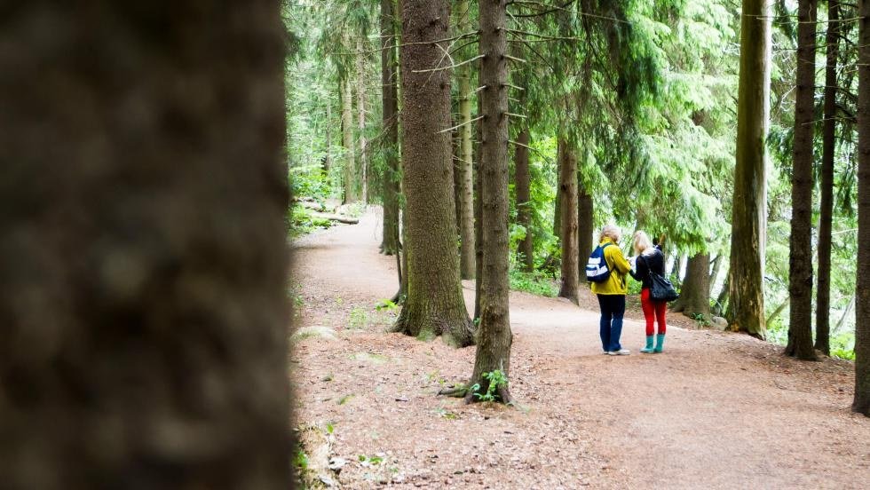Pitkäkosken luontopolku 1.5km