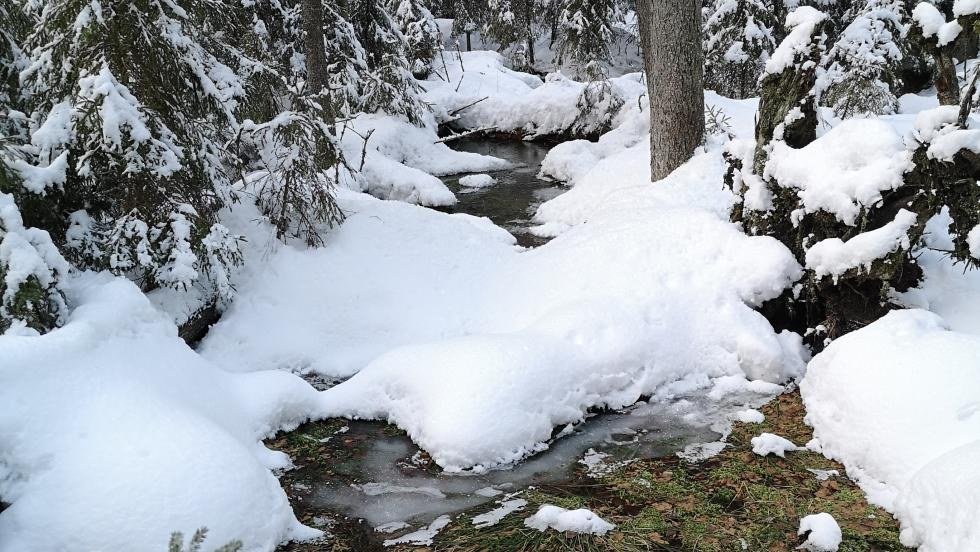 Vestran luonnonsuojelualueet