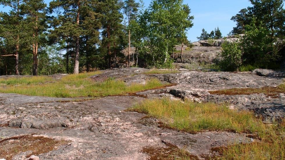 Kalkkikallion luonnonsuojelualue