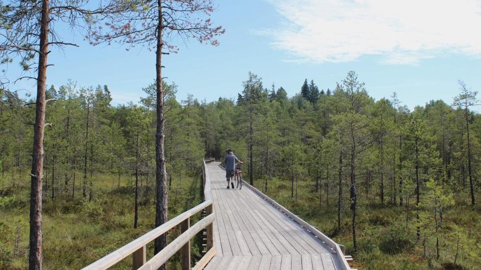 Keimolan Isosuon esteetön pitkospuureitti